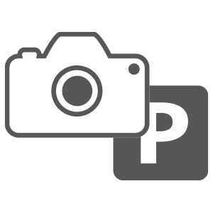 Thinkware U1000 PLUS | Camera Parking Icon